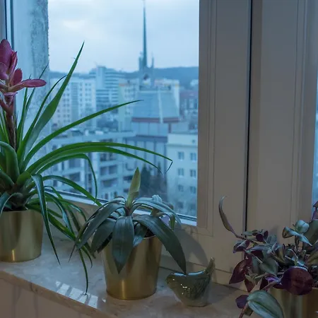 アパート Widokowka グディニャ